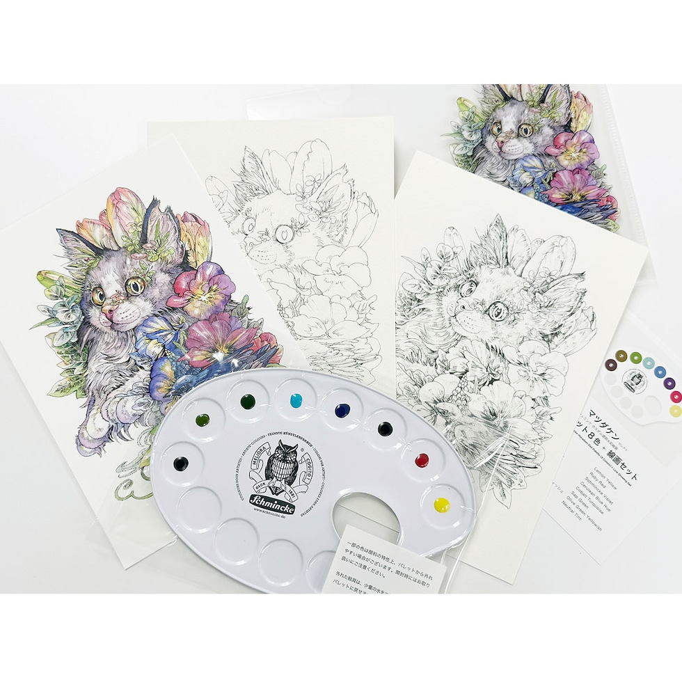 マツダケンセレクト シュミンケホラダム透明水彩絵具 ドットパレット8色+線画セット ネコポス可