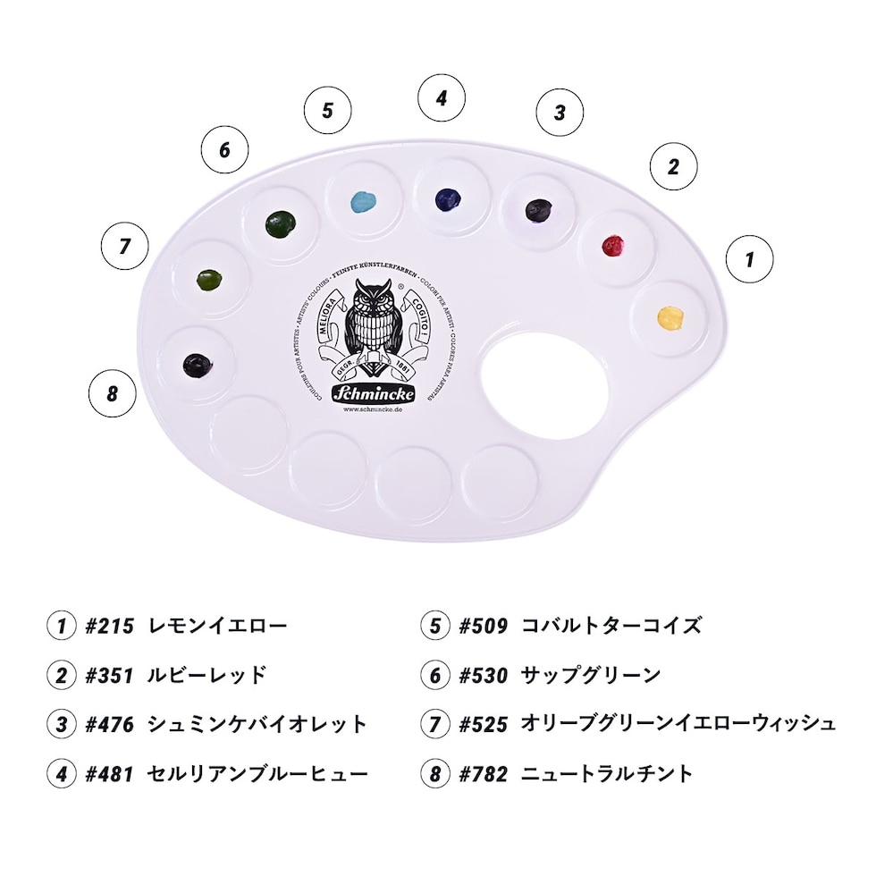 マツダケンセレクト シュミンケホラダム透明水彩絵具 ドットパレット8色+線画セット ネコポス可