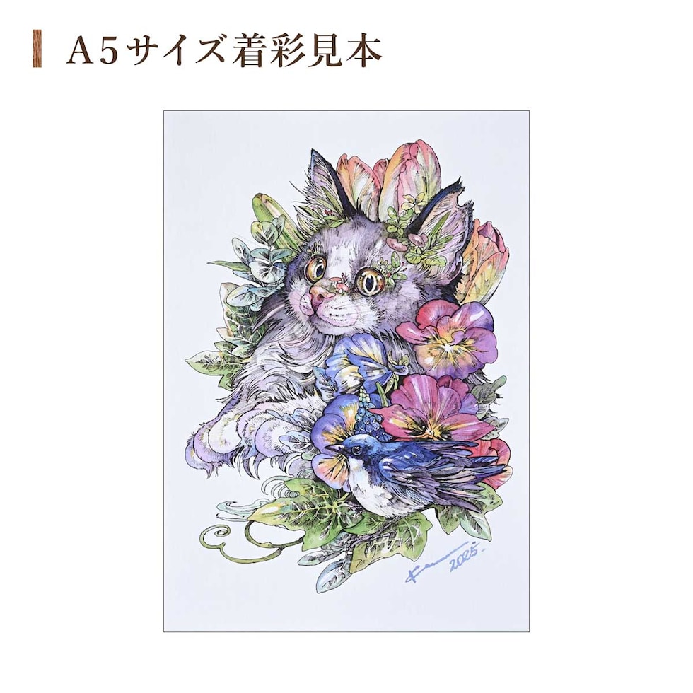 (系列店限定) シュミンケ マツダケン ドットパレットセット＋インターロン1026?2号 Shmincke ネコポス可