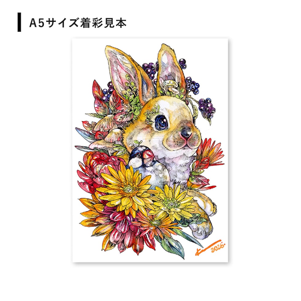 マルダケンセレクト シュミンケホラダム透明水彩絵具 ドットパレット12色+線画セット ネコポス可