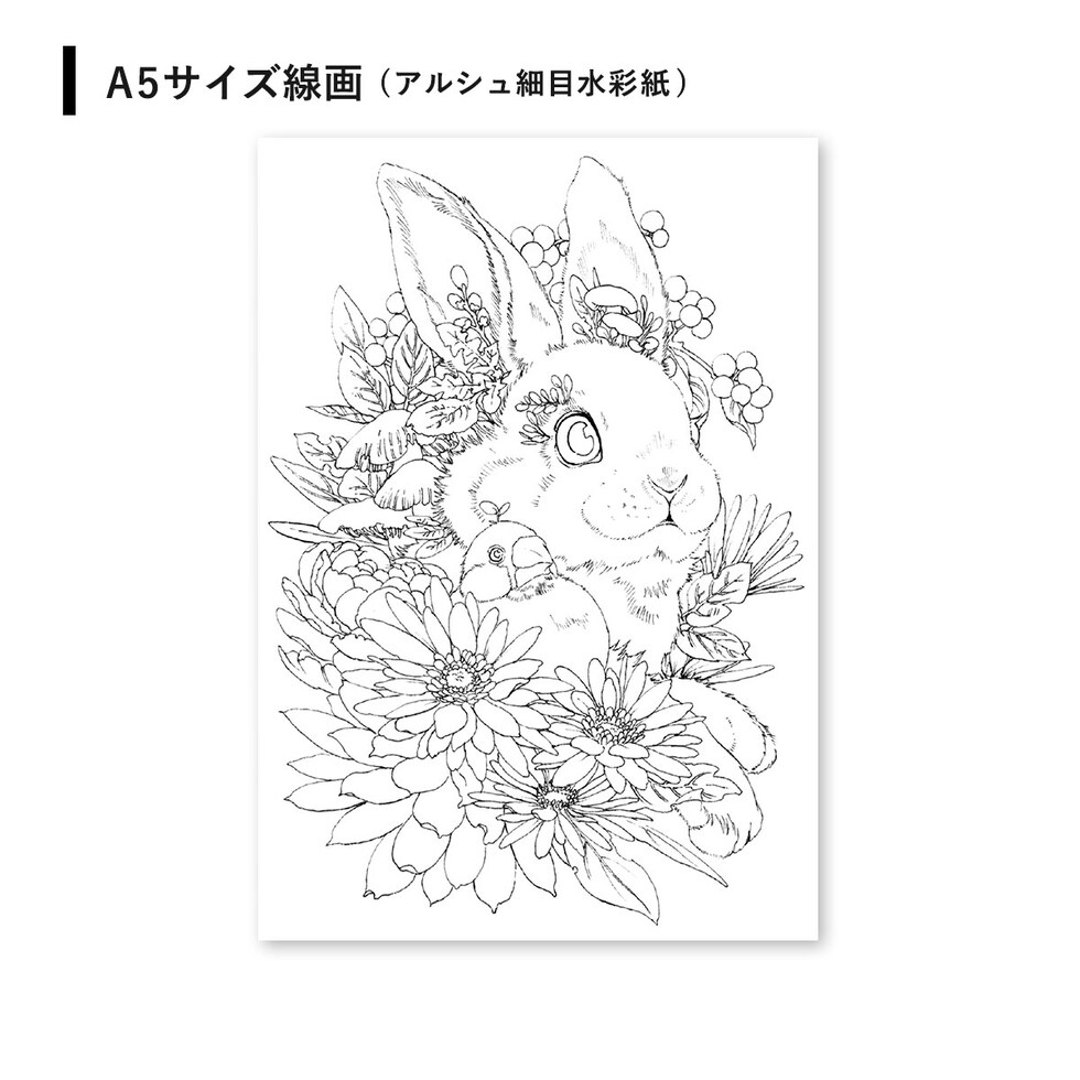 マルダケンセレクト シュミンケホラダム透明水彩絵具 ドットパレット12色+線画セット ネコポス可