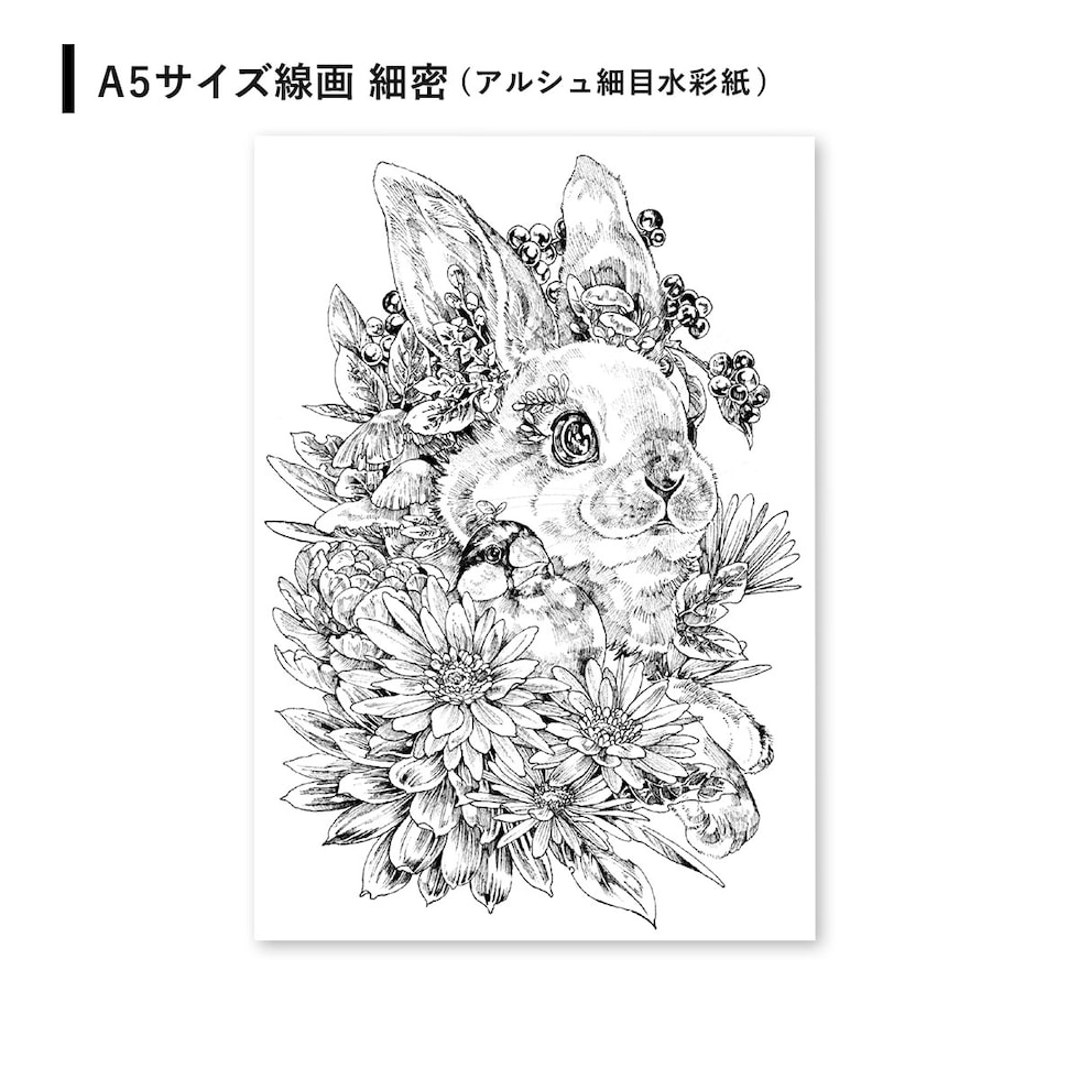 マルダケンセレクト シュミンケホラダム透明水彩絵具 ドットパレット12色+線画セット ネコポス可
