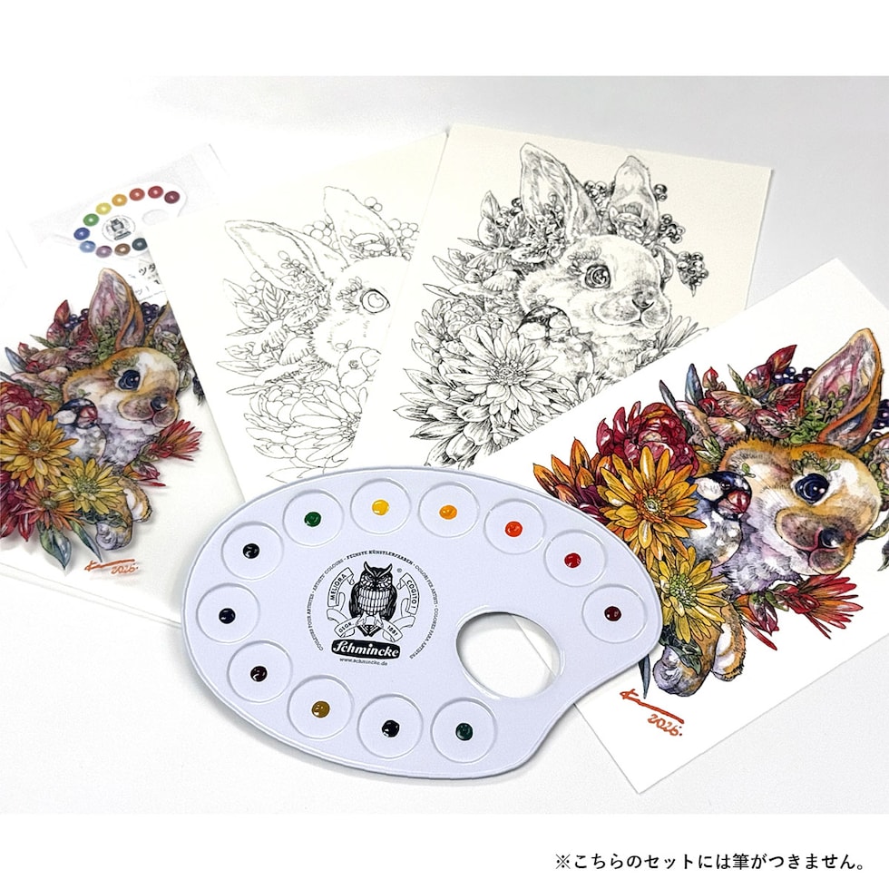マルダケンセレクト シュミンケホラダム透明水彩絵具 ドットパレット12色+線画セット ネコポス可