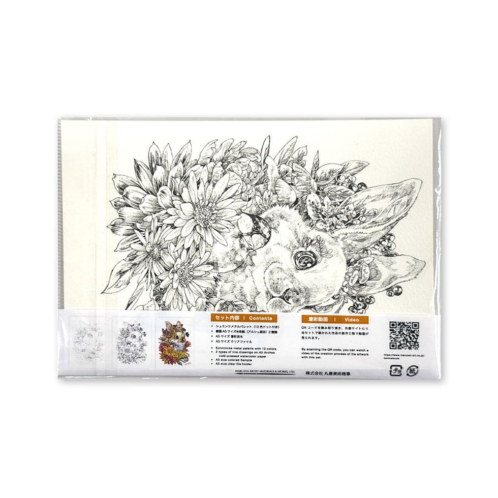 マルダケンセレクト シュミンケホラダム透明水彩絵具 ドットパレット12色+線画セット ネコポス可