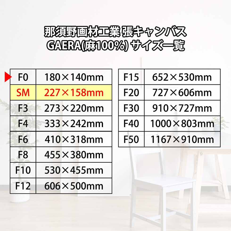 那須野画材工業 張キャンバス GAERA(麻100％) SM