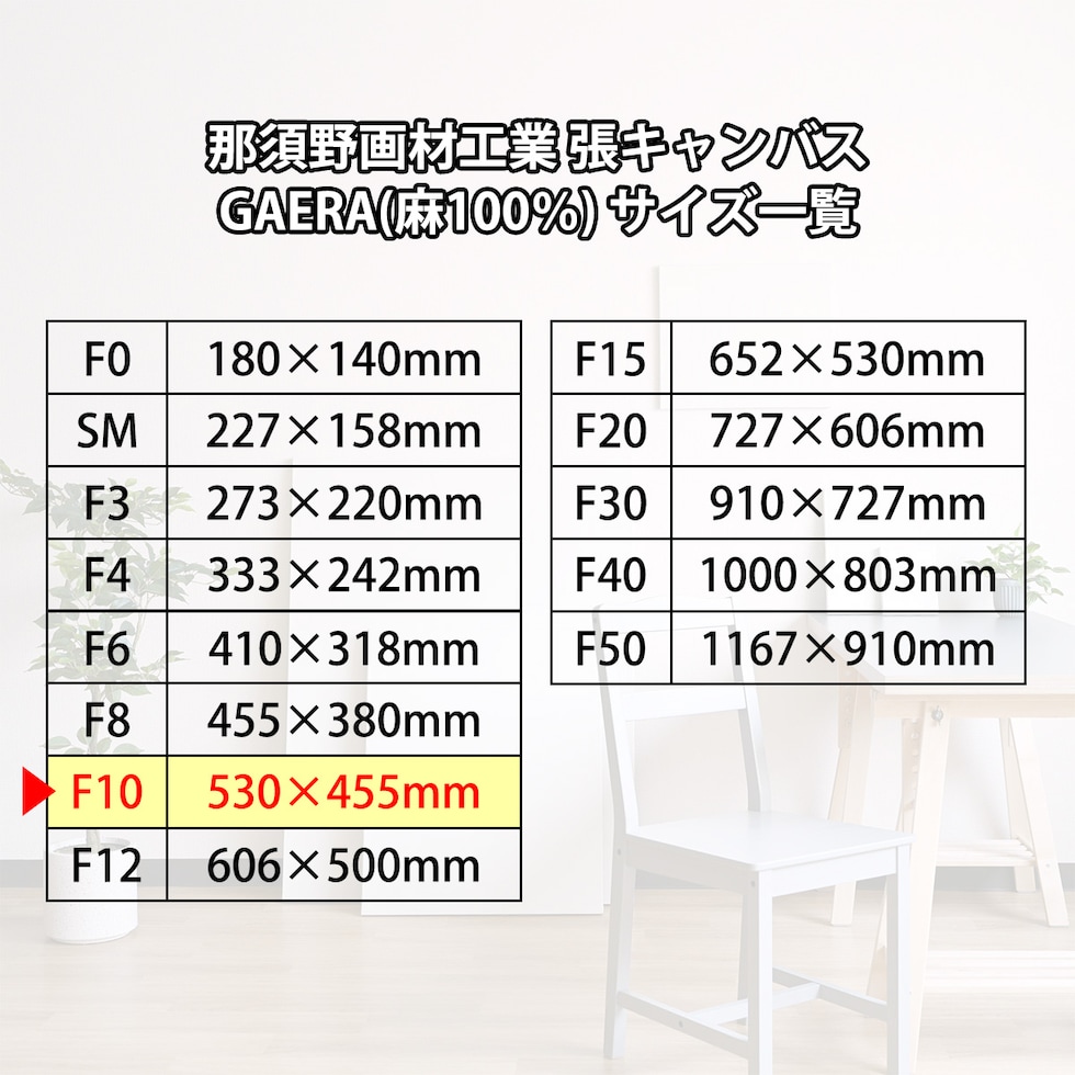 那須野画材工業 張キャンバス GAERA(麻100%) F10