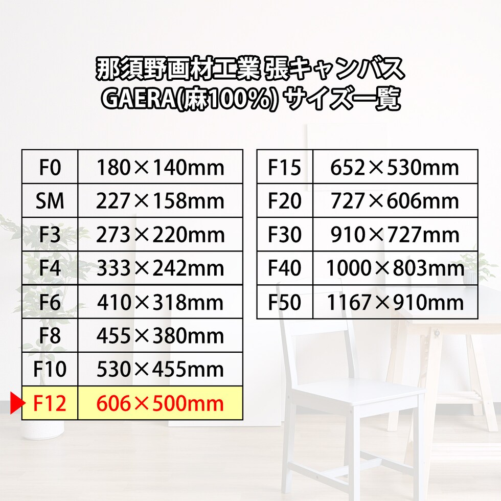 那須野画材工業 張キャンバス GAERA(麻100％) F12
