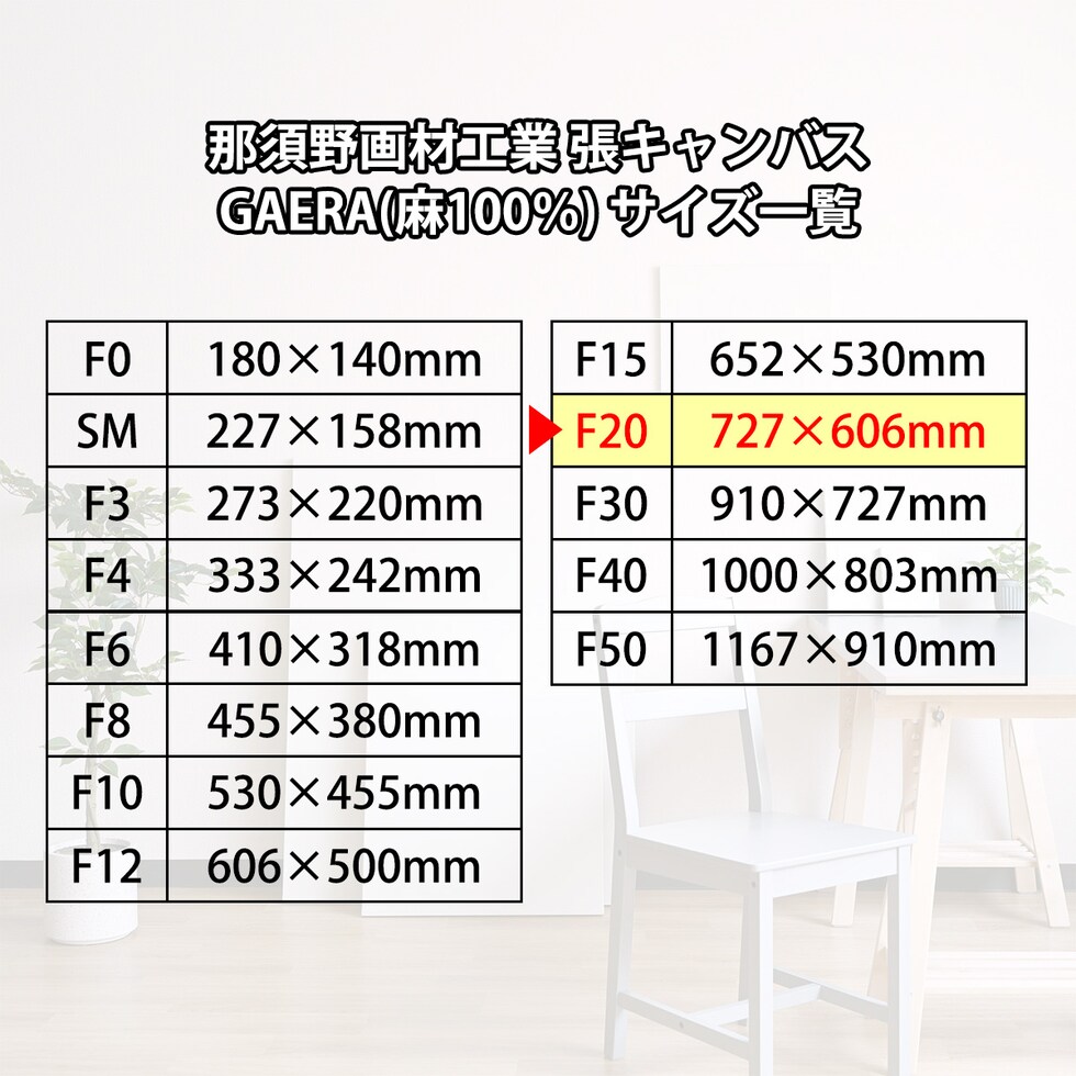 那須野画材工業 張キャンバス GAERA(麻100%) F20