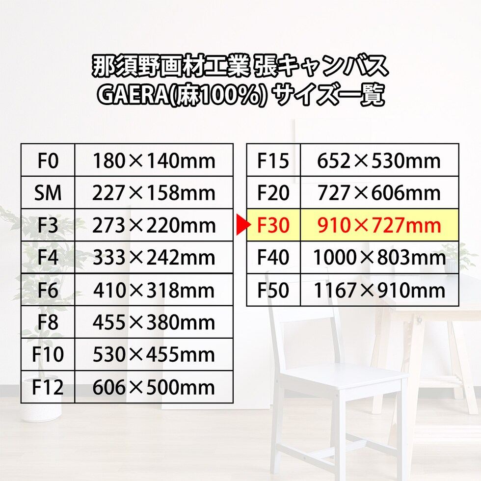 那須野画材工業 張キャンバス GAERA(麻100%) F30