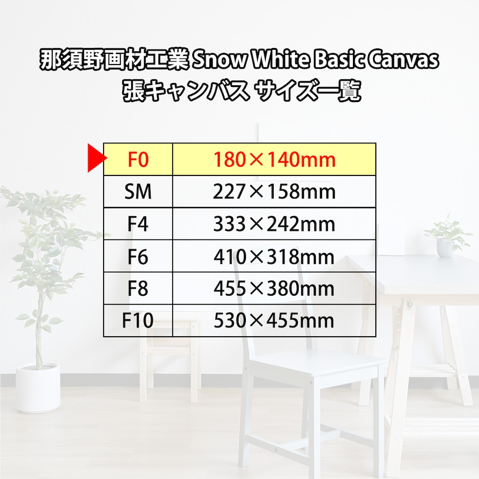 那須野画材工業 Snow White Basic Canvas 張キャンバス F0