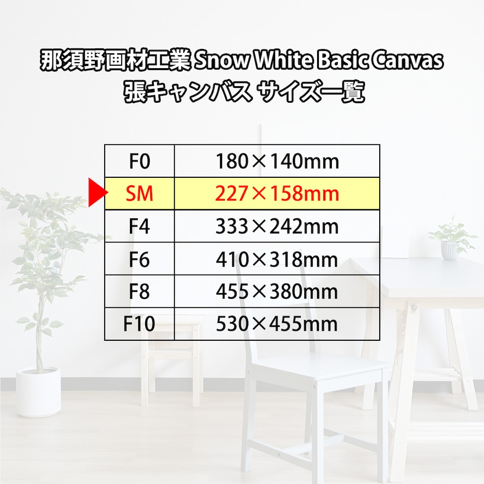 那須野画材工業 Snow White Basic Canvas 張キャンバス SM