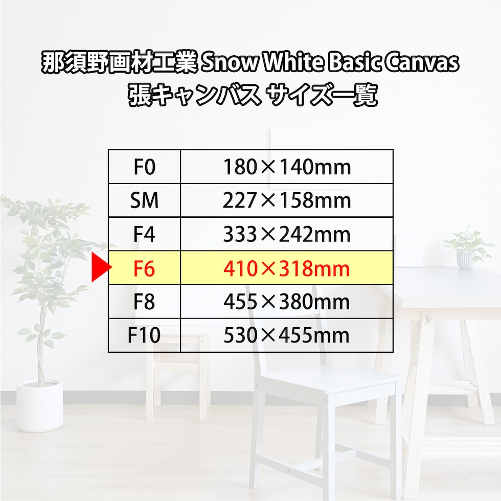 那須野画材工業 Snow White Basic Canvas 張キャンバス F6