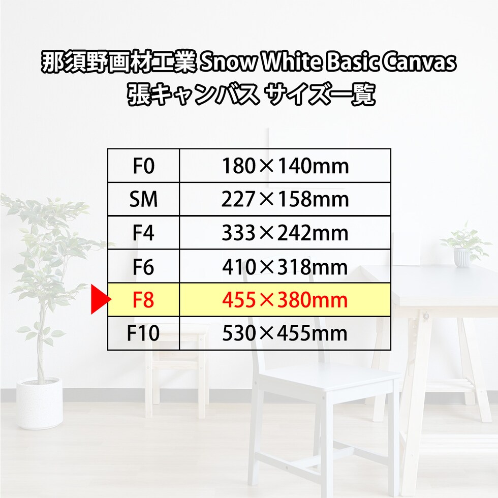 那須野画材工業 Snow White Basic Canvas 張キャンバス F8