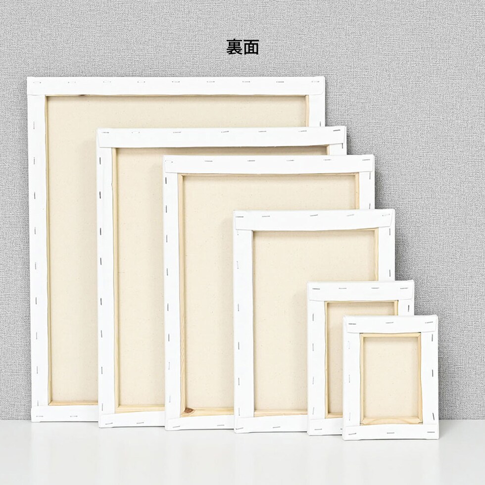 那須野画材工業 Snow White Basic Canvas 張キャンバス F8