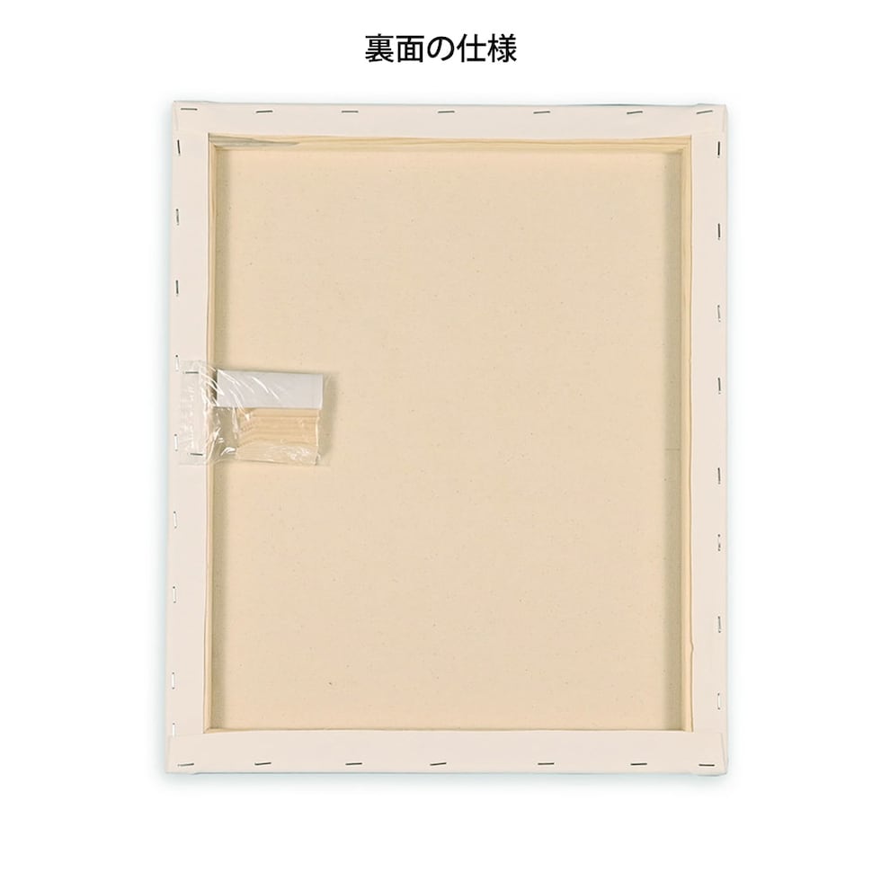 那須野画材工業 Snow White Basic Canvas 張キャンバス F8