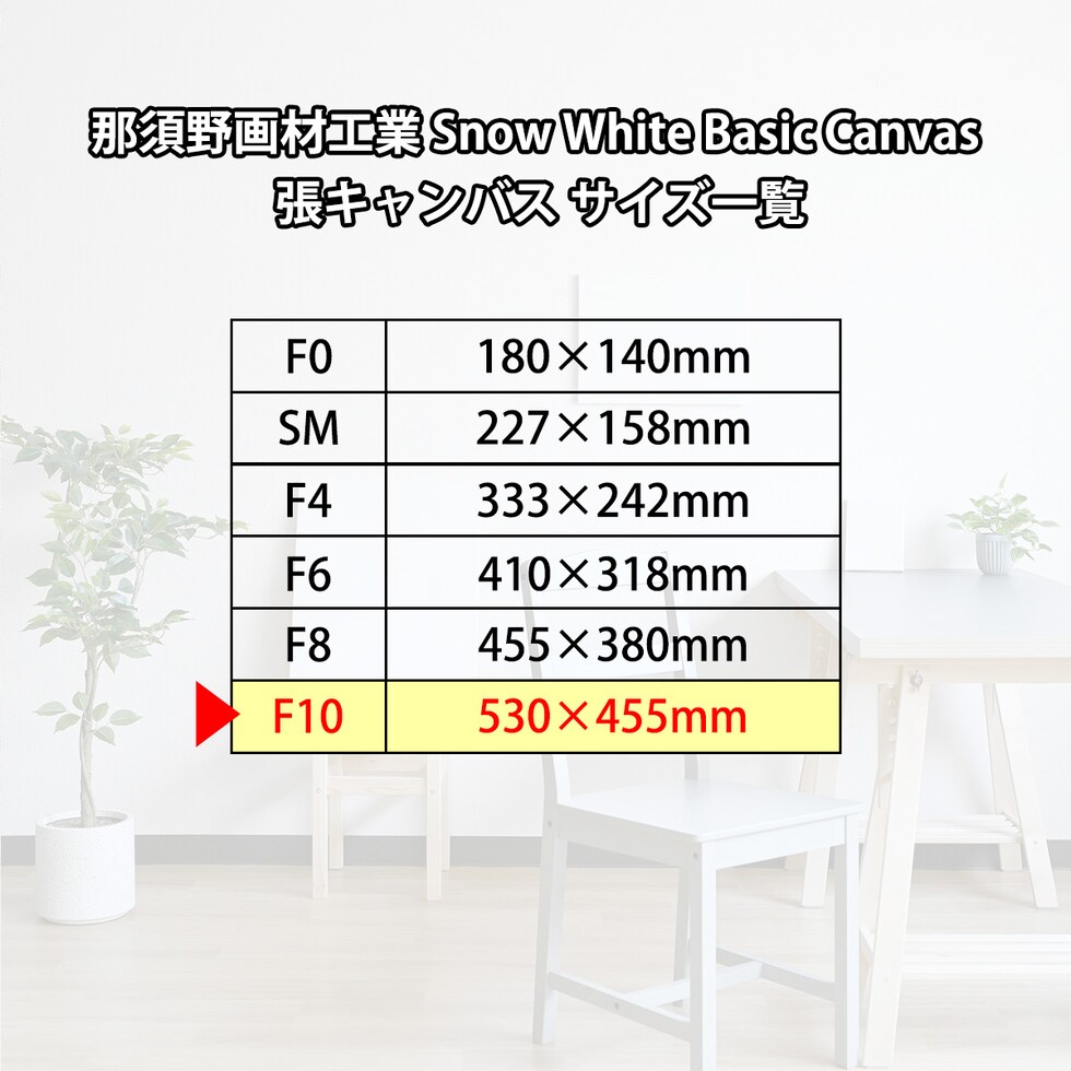 那須野画材工業 Snow White Basic Canvas 張キャンバス F10
