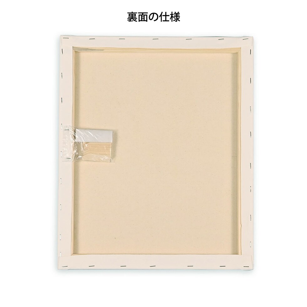那須野画材工業 Snow White Basic Canvas 張キャンバス F10