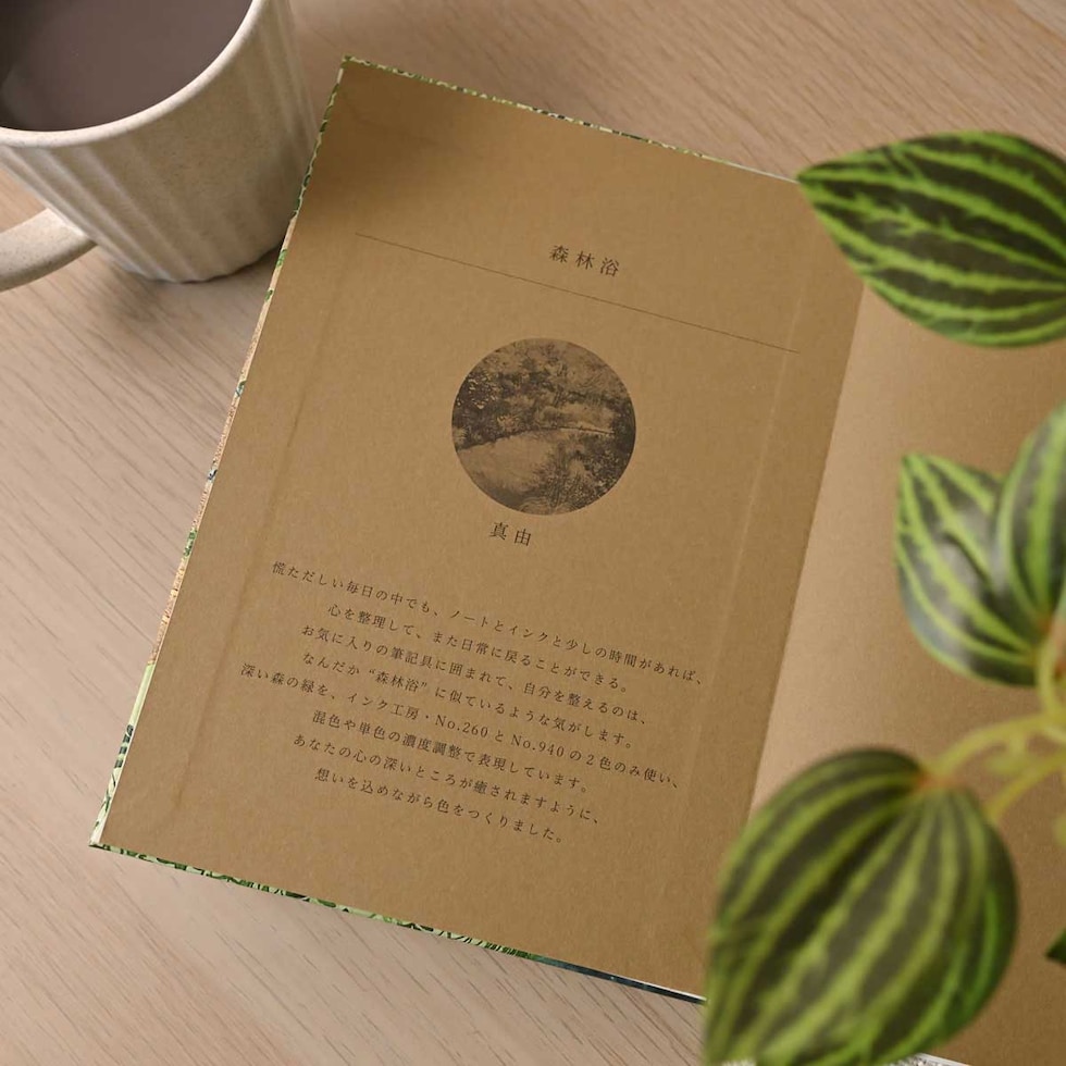 フェリッティ アーティストスケッチブック B6 森林浴 artist by 真由 (FESB-30168) ネコポス可