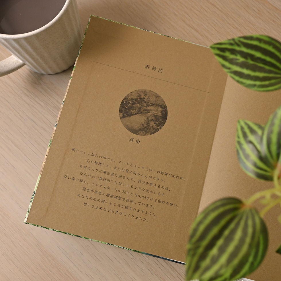 フェリッティ アーティストスケッチブック B6 森林浴 artist by 真由 (FESB-30168) ネコポス可