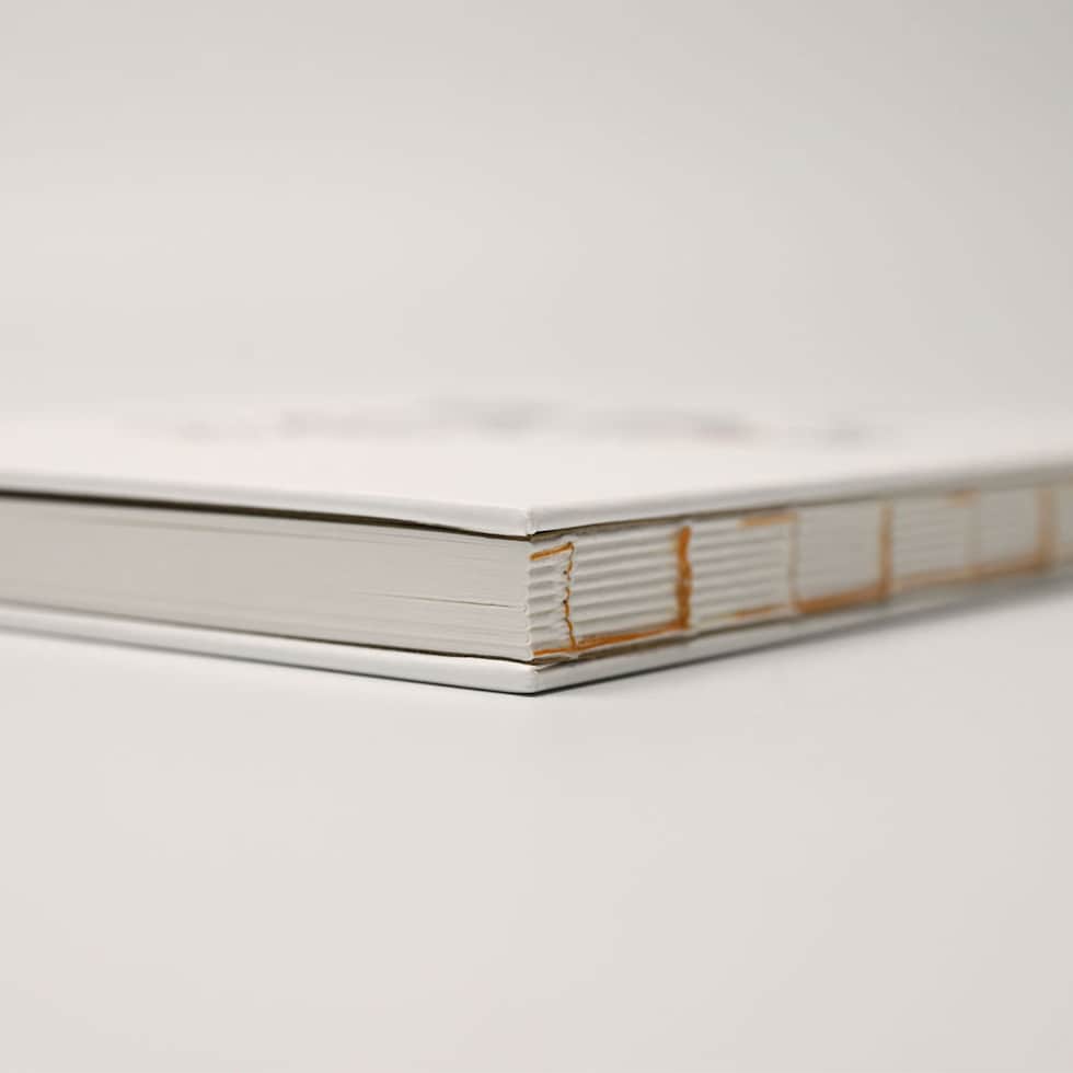 フェリッティ アーティストスケッチブック B6 森林浴 artist by 真由 (FESB-30168) ネコポス可