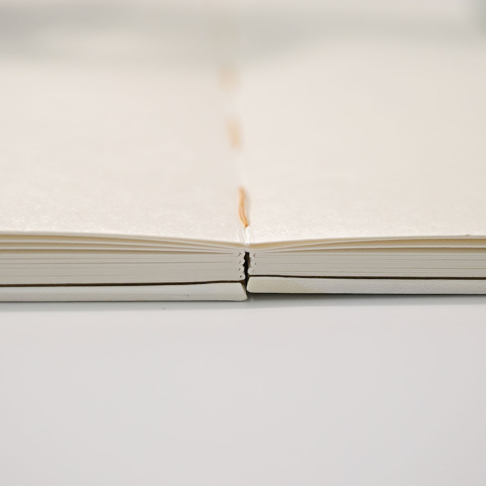 フェリッティ アーティストスケッチブック B6 森林浴 artist by 真由 (FESB-30168) ネコポス可