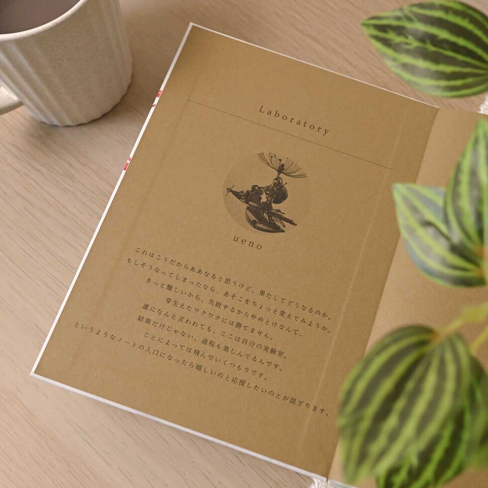 フェリッティ アーティストスケッチブック B6 Laboratory artist by ueno (FESB-30170) ネコポス可