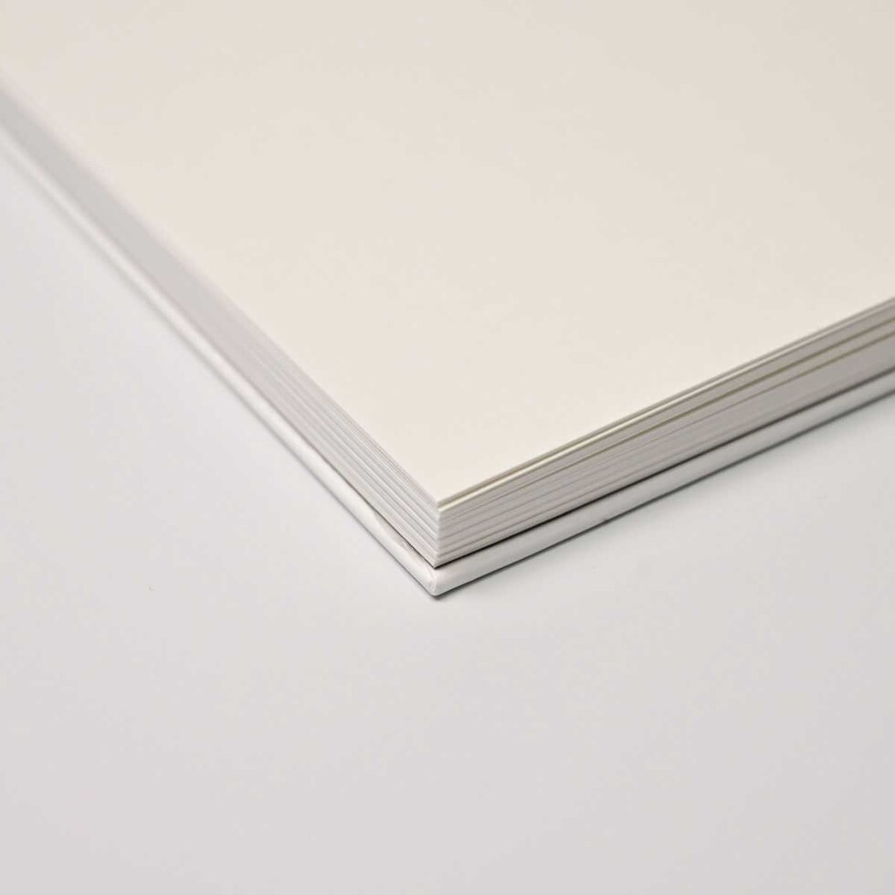 フェリッティ アーティストスケッチブック B6 Laboratory artist by ueno (FESB-30170) ネコポス可