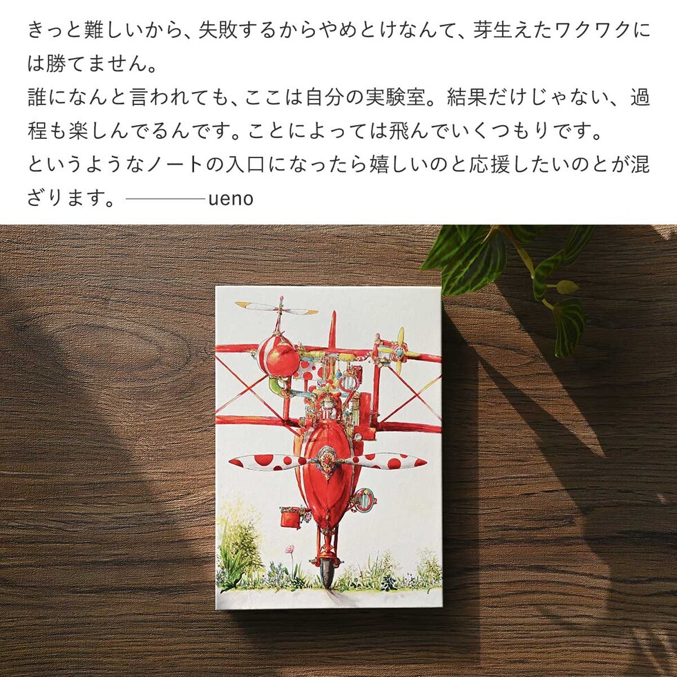 フェリッティ アーティストスケッチブック B6 Laboratory artist by ueno (FESB-30170) ネコポス可