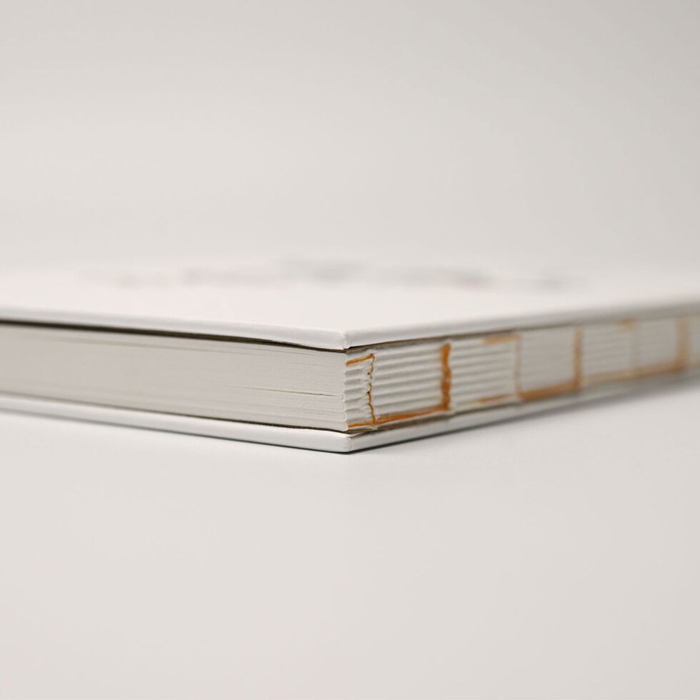 フェリッティ アーティストスケッチブック B6 Laboratory artist by ueno (FESB-30170) ネコポス可