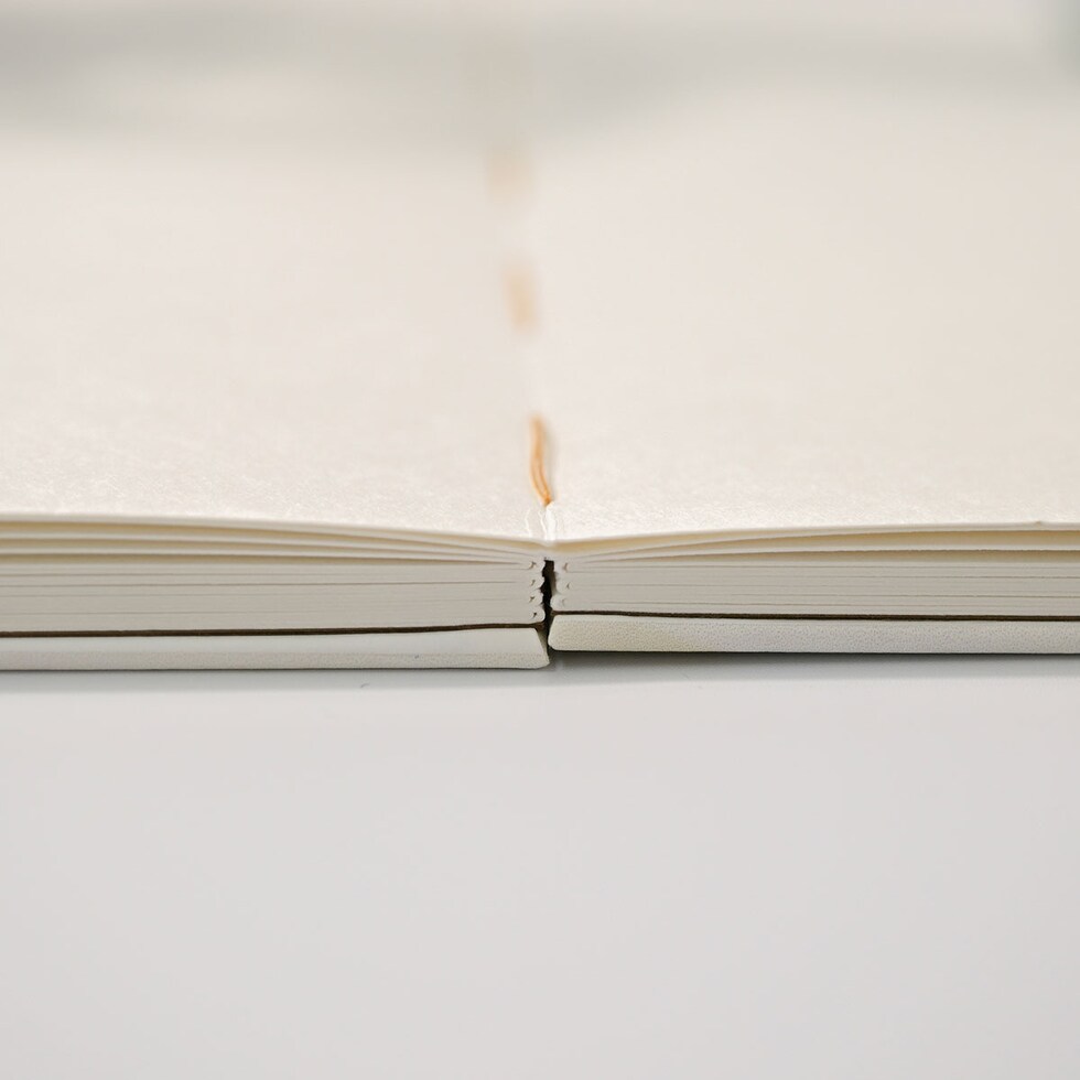 フェリッティ アーティストスケッチブック B6 ブレーメンの牛柄隊 artist by 錫村千景 (FESB-30171) ネコポス可