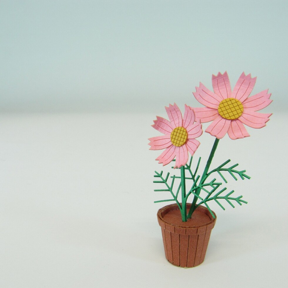 さんけい みにちゅあーと・プチ コスモス (MP01-61)