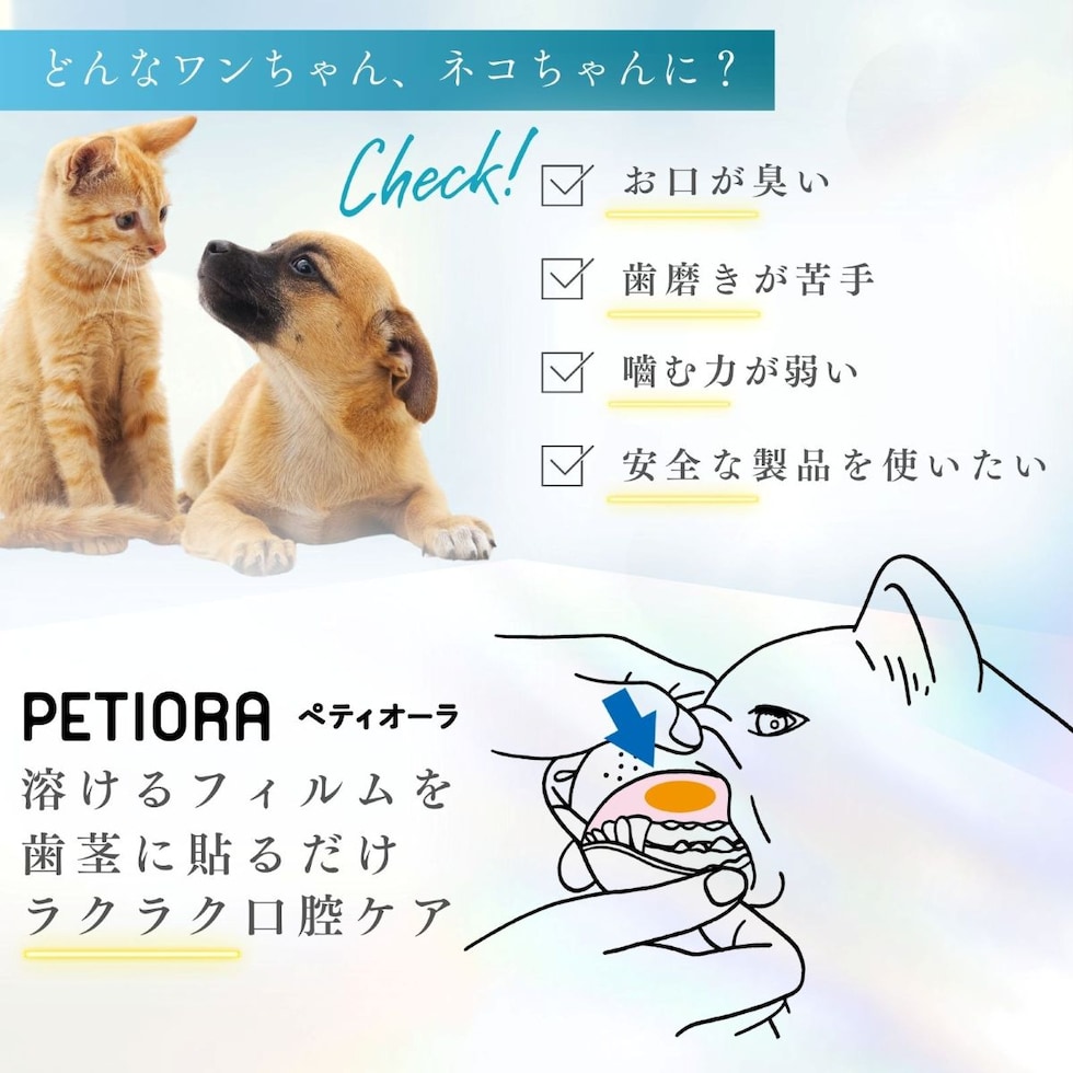 ペティーナ ペティオーラ AD デンタルパッチ Sサイズ （8㎏未満の小型犬、猫用） オーラルケア (ネコポス可) イヌ ネコ いぬ 