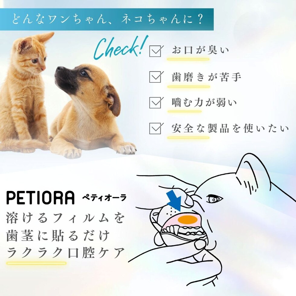 ペティーナ ペティオーラ AD デンタルパッチ Mサイズ （8～15㎏までの中型犬用） オーラルケア (ネコポス可) イヌ ネコ いぬ 