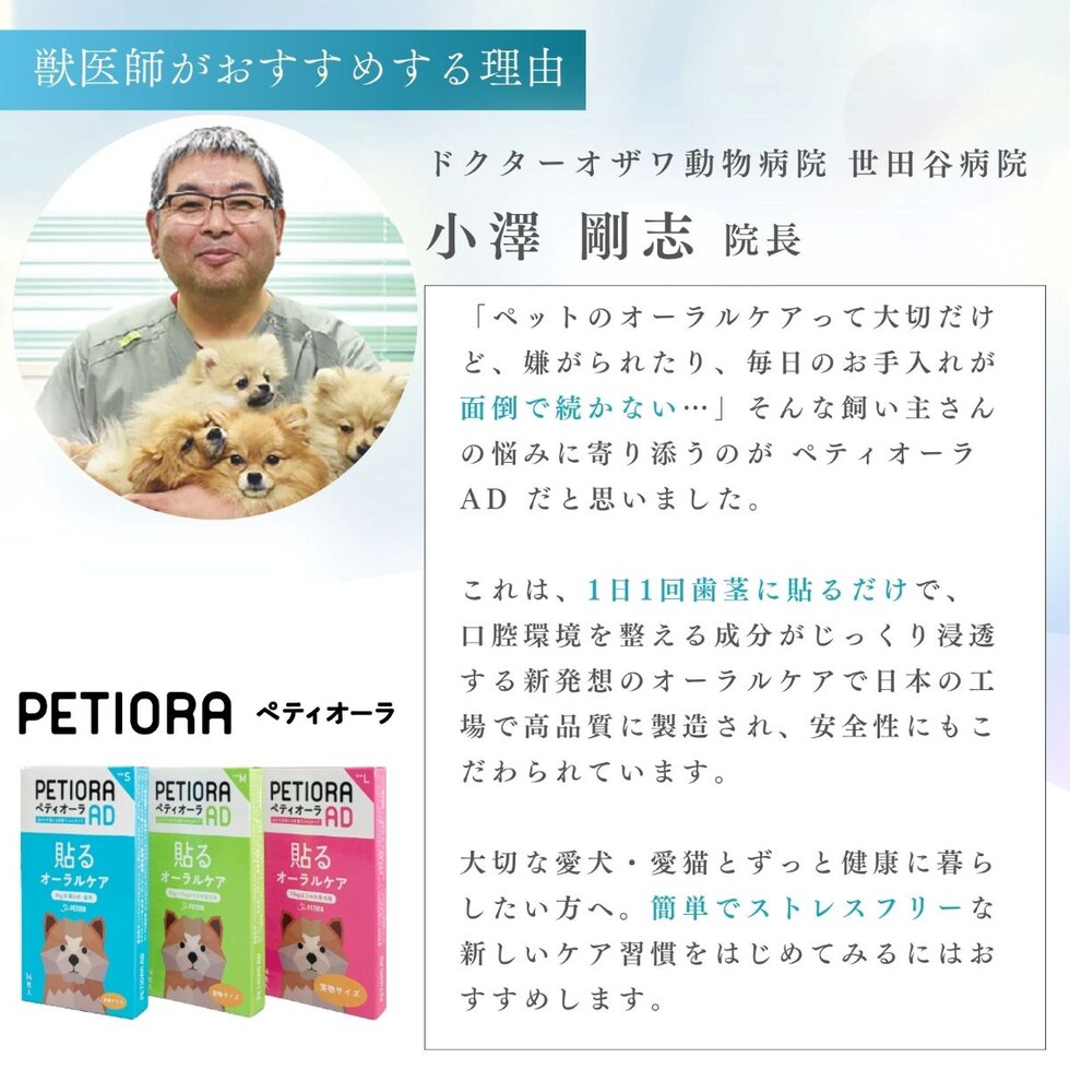 ペティーナ ペティオーラ AD デンタルパッチ Mサイズ （8～15㎏までの中型犬用） オーラルケア (ネコポス可) イヌ ネコ いぬ 