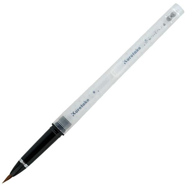 呉竹 からっぽペン 毛筆 カートリッジ式 (ECF160-602)
