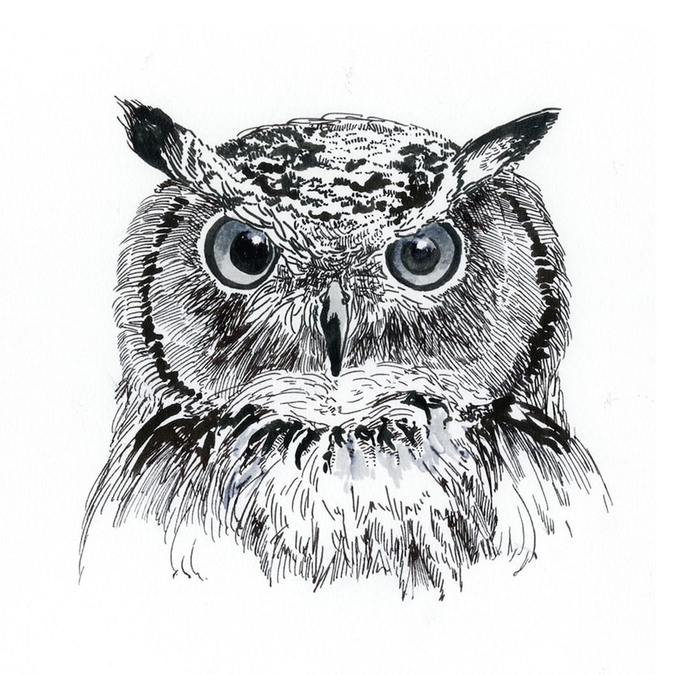 呉竹 ZIG ILLUSTRATION BASIC SET3／筆ぺん 5本セット (IKTB-22/5V) クレタケ イラストレーション ベーシックセット