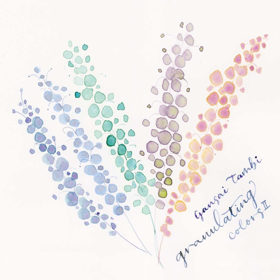 クレタケ 顔彩耽美 グラニュレーティングカラーズ2/5色セット (MC20GN2/5V) 分離色 グラニュレーション がんさい 絵具 絵の具