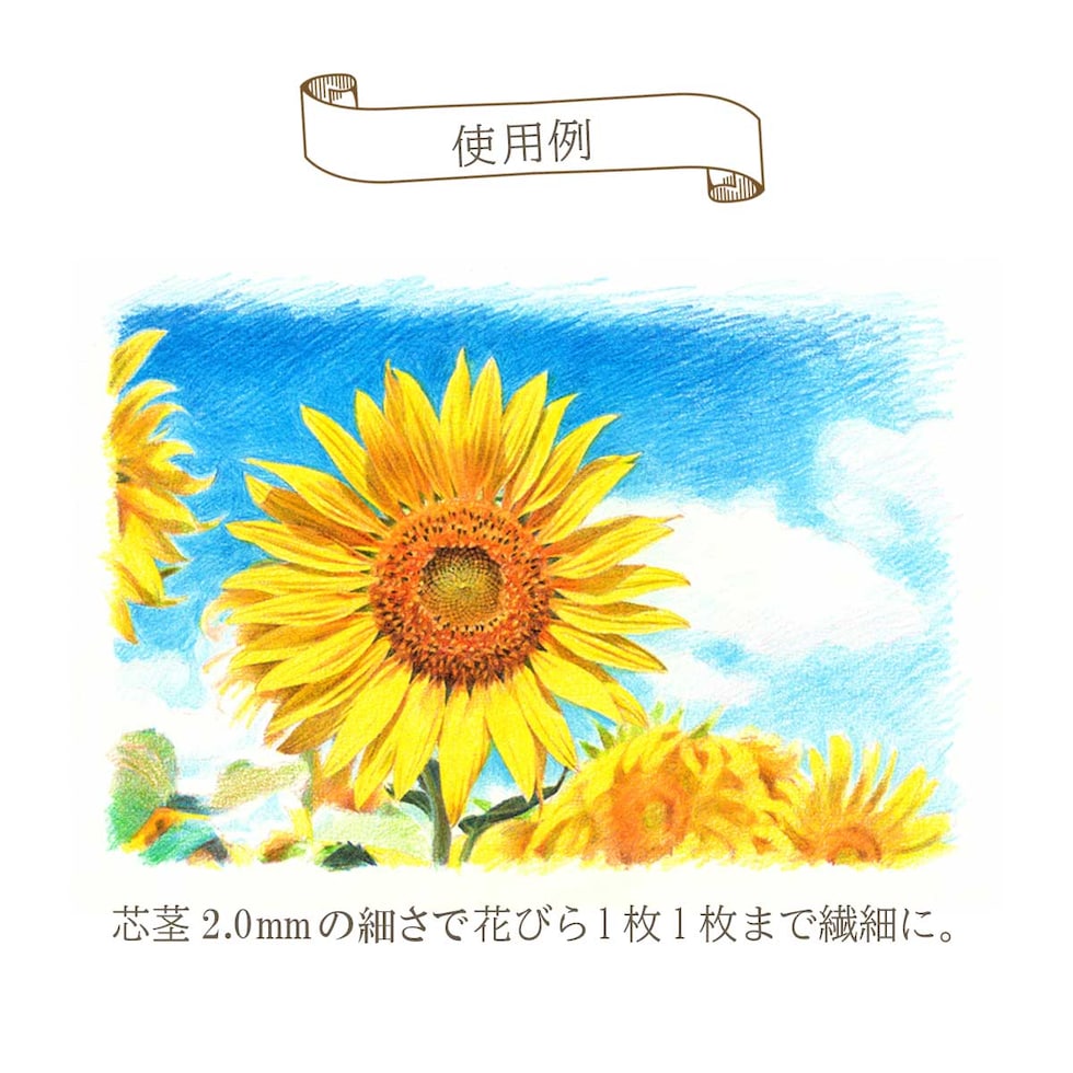 ぺんてる 色鉛筆 Art Multi8 アートマルチエイト ホルダータイプ 色芯8色 専用替芯（12色?各1本） 芯削り器付き (XPH804ST)