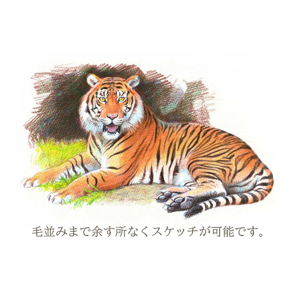 ぺんてる アートマルチ8 スケッチブック付きセット(数量限定品) (XPH804STSB)