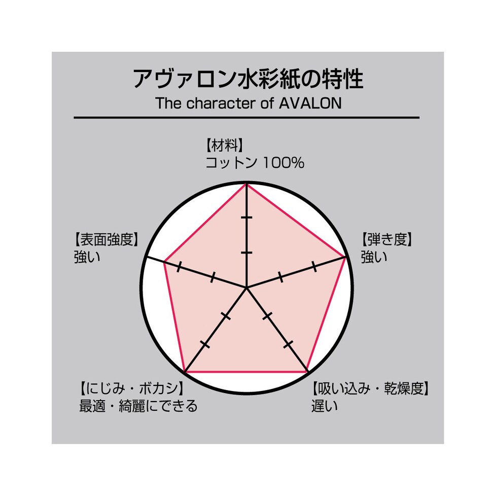 ホルベイン アヴァロン水彩紙 300g 中目 A4 カット判 5枚入 (263120)