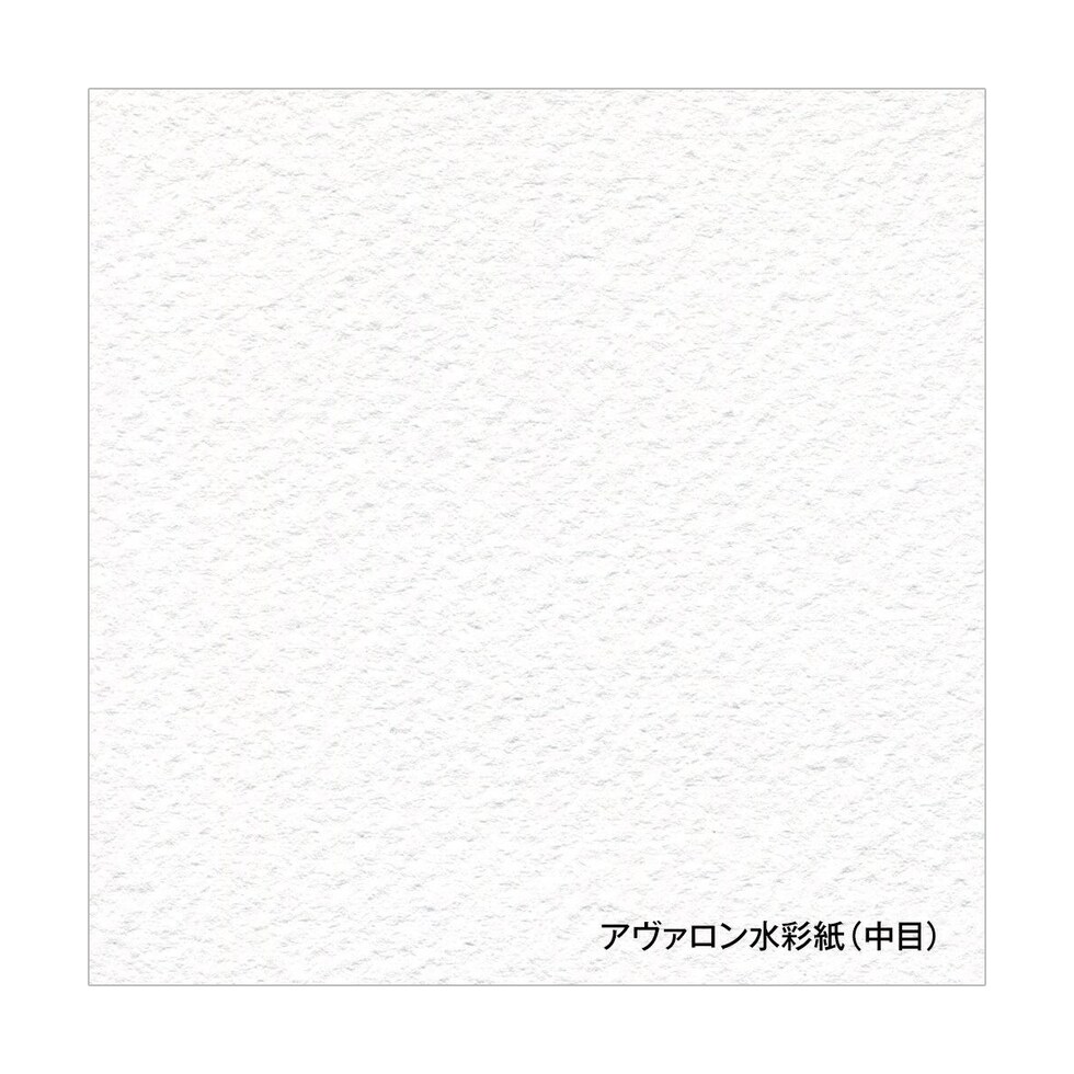 ホルベイン アヴァロン水彩紙 300g 中目 A4 カット判 5枚入 (263120)