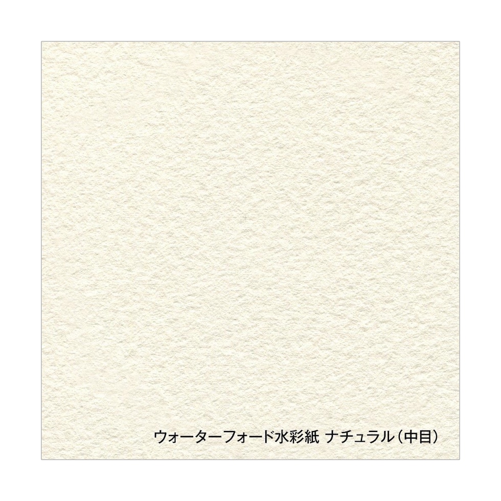 ホルベイン ウォーターフォード水彩紙 ナチュラル 300g 中目 A4 カット判 5枚入 (263121)