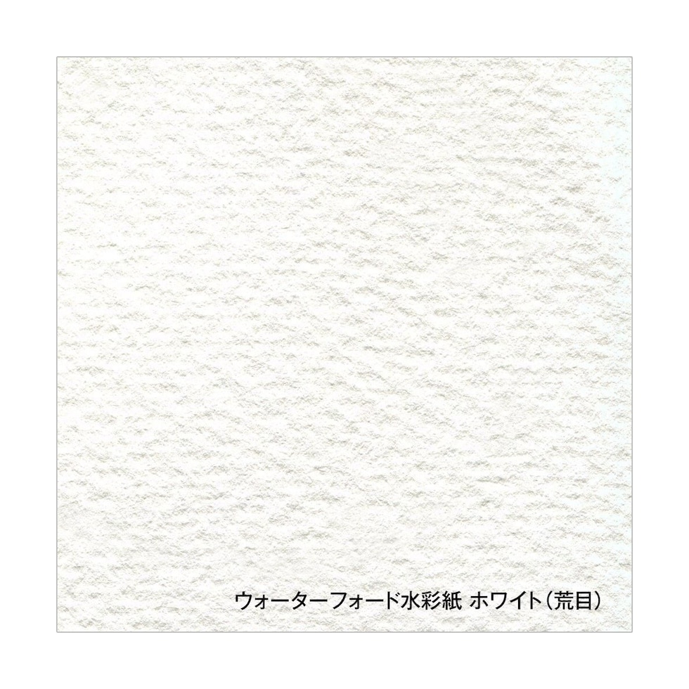 ホルベイン ウォーターフォード水彩紙 ホワイト 300g 荒目 A4 カット判 5枚入 (263122)