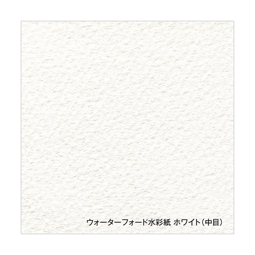 ホルベイン ウォーターフォード水彩紙 ホワイト 300g 中目 A4 カット判 5枚入り (263123)