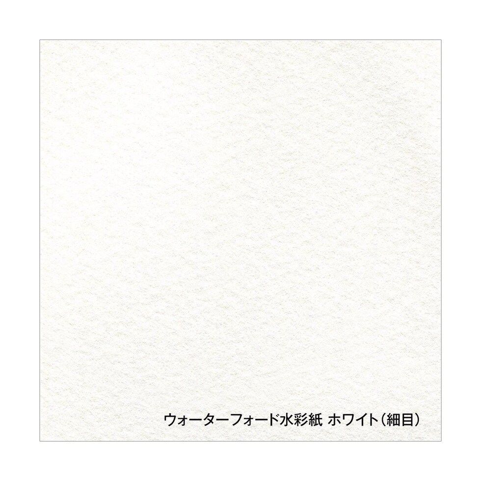 ホルベイン ウォーターフォード水彩紙 ホワイト 300g 細目 A4 カット判 5枚入 (263124)