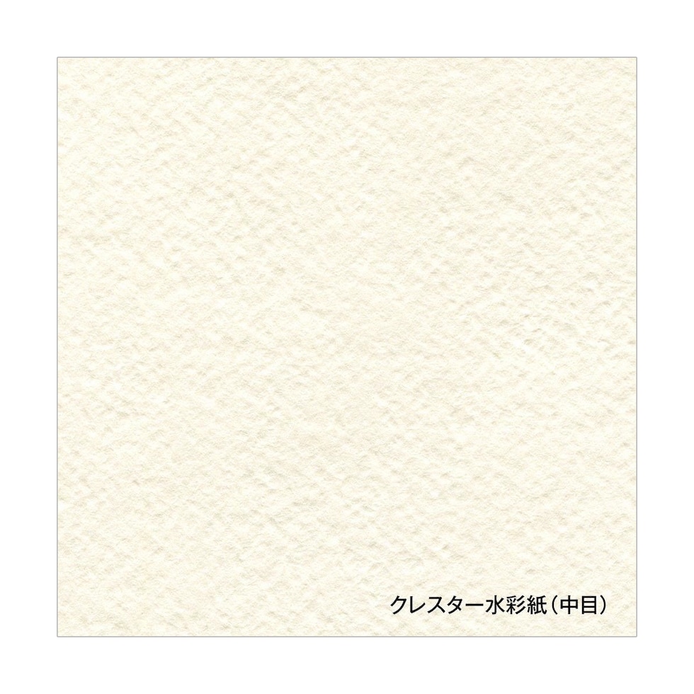 ホルベイン クレスター水彩紙 210g A4 カット判 20枚入 (263126)
