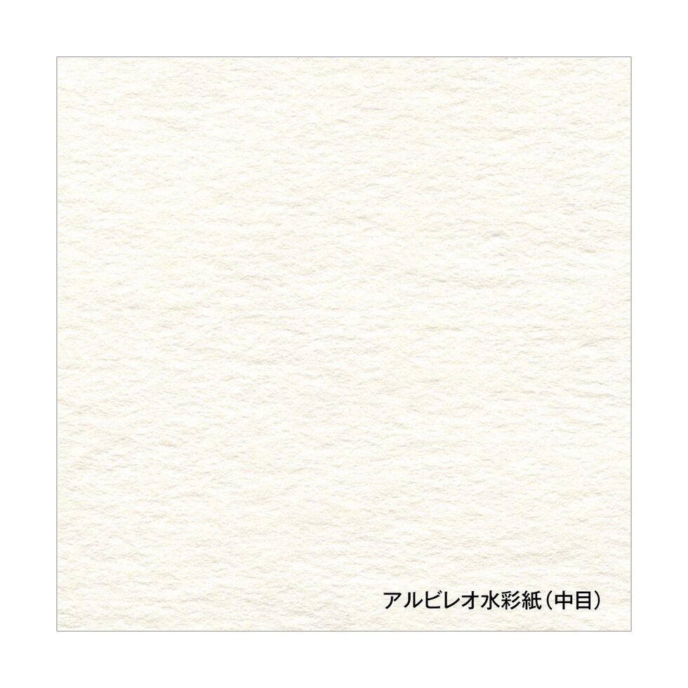 ホルベイン アルビレオ水彩紙 218g A4 カット判 20枚入 (263127)