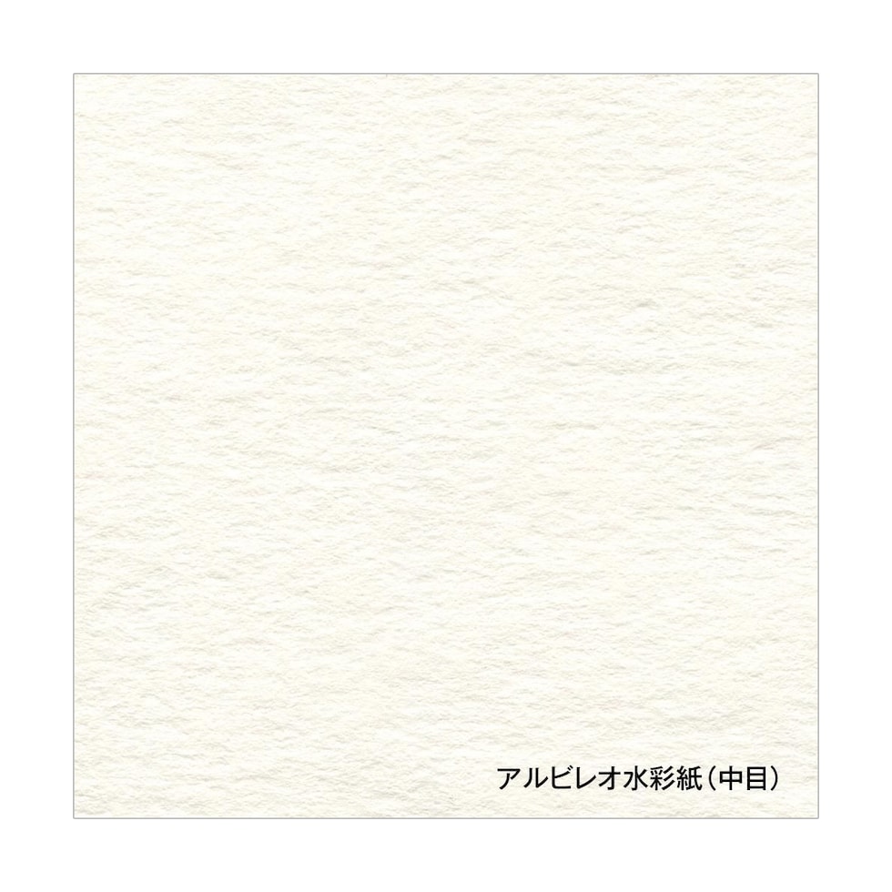 ホルベイン アルビレオ水彩紙 218g 中目 ロール 1400mm×10m 251311 (251311)