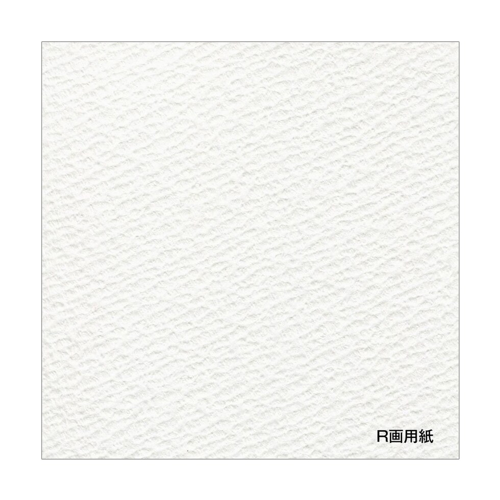 ホルベイン R画用紙 スプリング NO.30シリーズ 30T-1 F0 (270010)