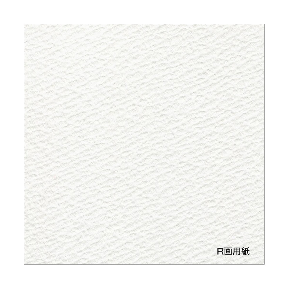 ホルベイン R画用紙 スプリング NO.30シリーズ 30K-1 SM (270013)